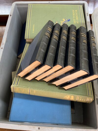 A large collection of vintage books.