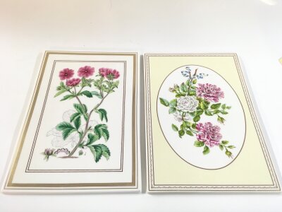 Two royal Worcester panels, Botanical studies Potentilla , White and striped roses Worcester rose collection. 18x26cm