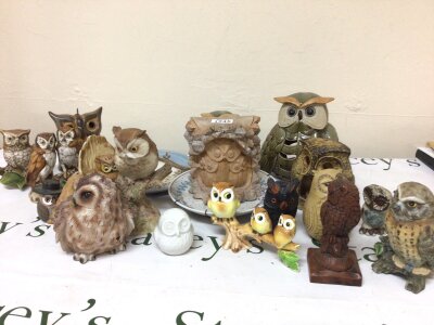A collection of ceramic Owl ornaments and dishes