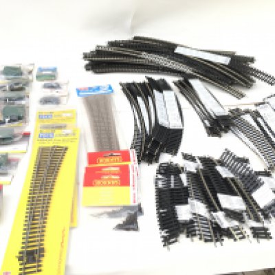 A collection of approximately 90 new 00 gauge track pieces by Hornby and PECO.. Plus accessories including switches etc. no reserve