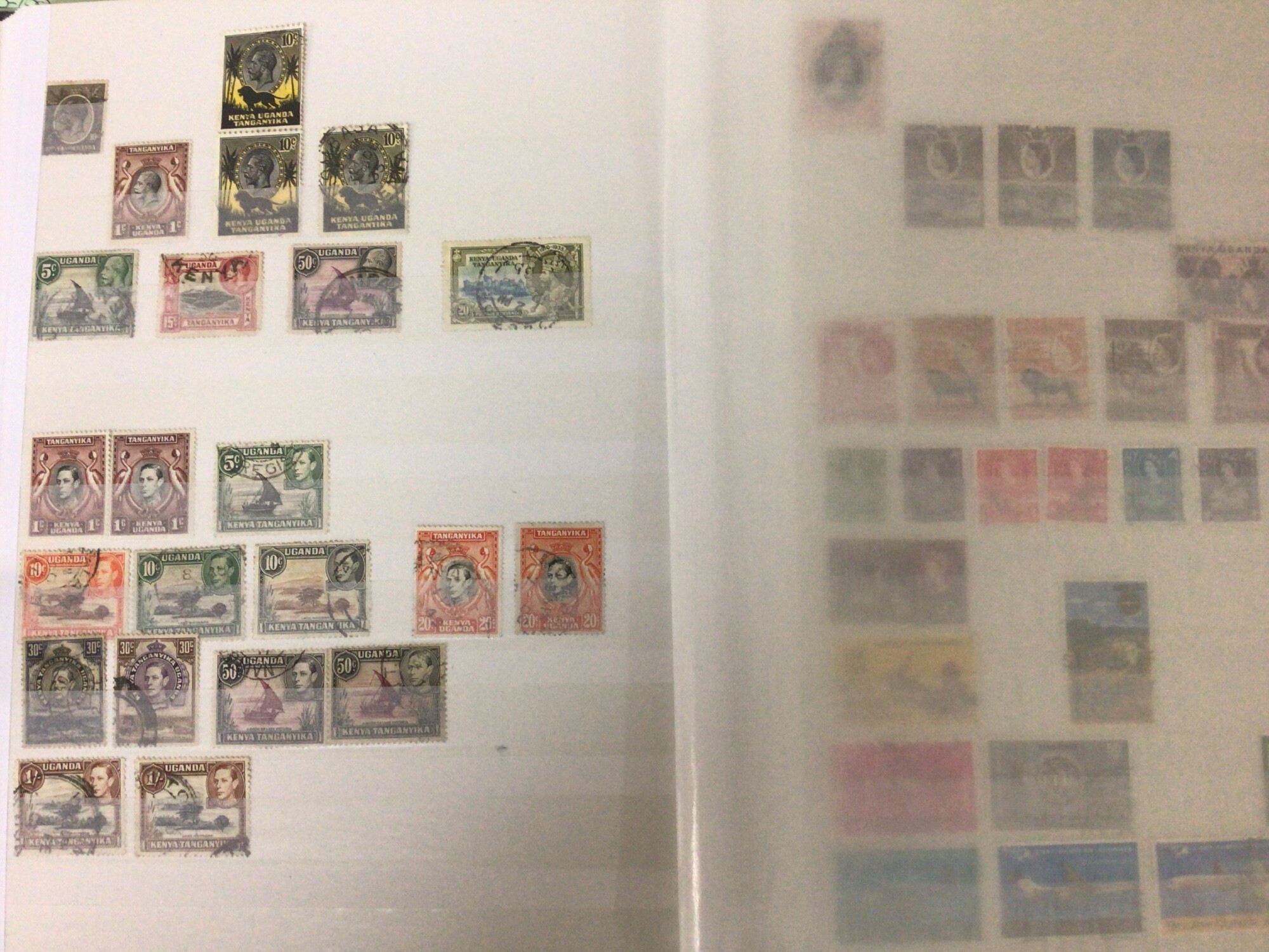 thumb 7