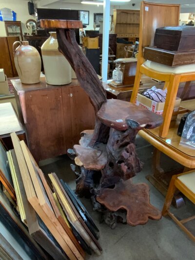 A l;argue Indonesian root wood display stand 151cm.