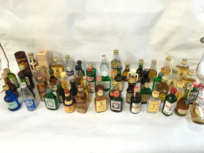 A collection of assorted miniatures including whiskey and other spirits.
