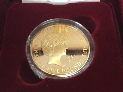 Gold proof £5 Diana memorial coin.