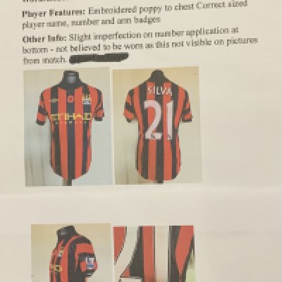 Manchester City 2011 - 2012 Match Issued Football Shirt: Issued to Silva v QPR . Full details with online pictures.