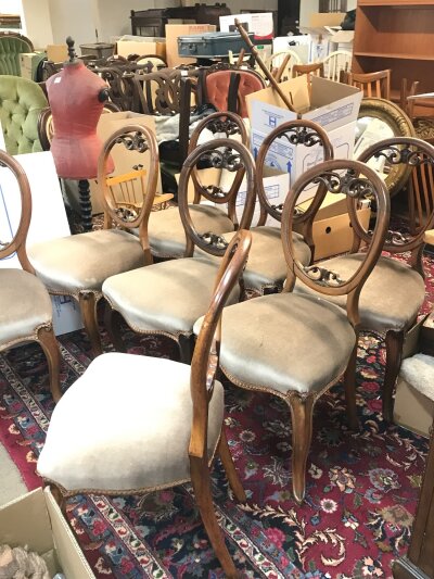 A set of ten Victorian balloon back dining chairs (some damage and repair to back rails) 89cm tall 45cm wide