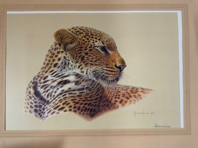 A limited edition signed print 68/300, Kim Brooks, 1975, Leopard portrait.86cm x 64cm- NO RESERVE