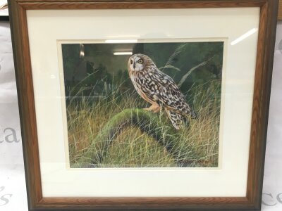A Charles Barrett Oil painting “Owl on branches” frame dimensions 48x43cm