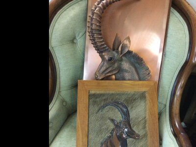 Four framed plaques on copper depicting African animals.