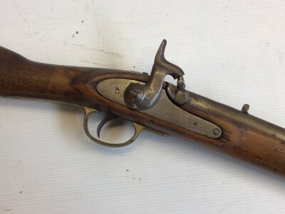 A 19th Century Enfield Percussion Rifle muzzle load three quarter stock two banded steel barrel brass trigger guard.
