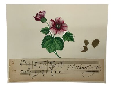 TCHAIKOVSKY, PYOTR ILYICH, A botanical study, featuring a hand-coloured illustration of a pink and white flower similar to a Malope ,the music script snippet includes two staves of music written in black ink, indicating a short, handwritten piece of composition, signed Tchaikovsky. 16cm x 20cm
