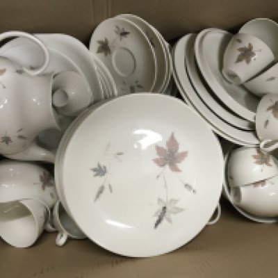 Royal Doulton Tumbling Leaves dinner set including plates, cups etc