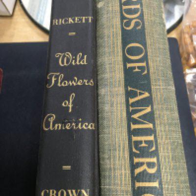 A collection of Books Birds of America wild flowers of America Shakespeare dictionary l