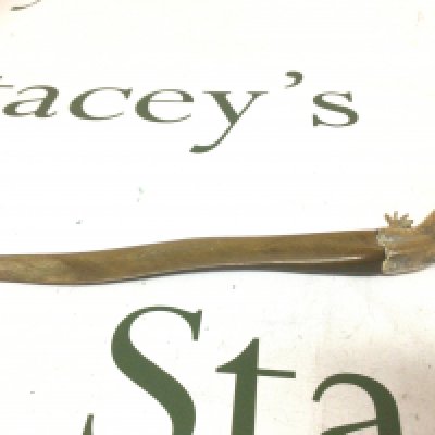 An Antique paper Knife with a shaped horn blade the end in the form of a lizard made in brass.- NO RESERVE