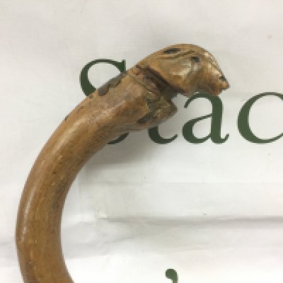A walking cane, the handle carved in the form of an animal head, approx total length 97cm. Shipping category D.
