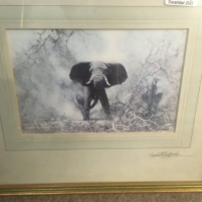 Three framed prints David shepherd, Elphant hippos and elephant.