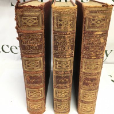 Hutchinson&#2013266057_s popular and illustrated dog encyclopaedia Volume 1 2 and 3. Postage B. NO RESERVE
