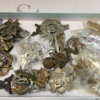 A Collection of various cap badges including Royal Sussex Reg, Hampshire, Cornwall 1st vb etc