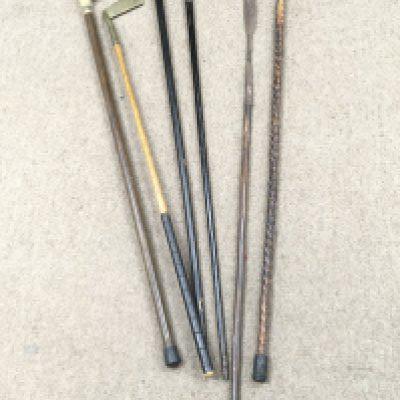 A Collection of walking sticks including an ebonised wooden stick with a horn handle and silver hallmarked collar, bird head carved wooden topped walking stick, bronze ended golf putt etc