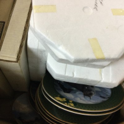 A large collection of plates from the Bradford exchange, Surf Dancer, the Gold Signature Collection, and more.