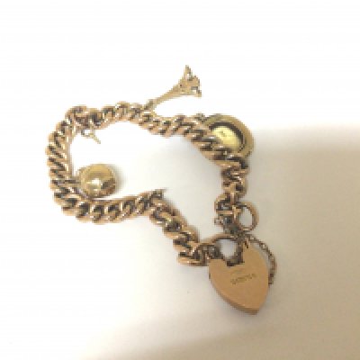 A 9carat gold Charm bracelet one charm unmarked set with a cut Citroen stone total weight 19g