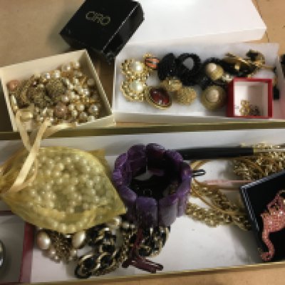 A small collection of costume jewellery including brooches, necklaces and earrings