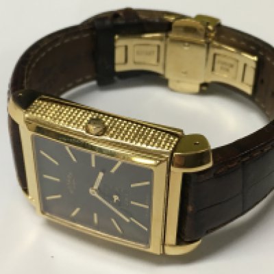 A rotary reverso style watch.