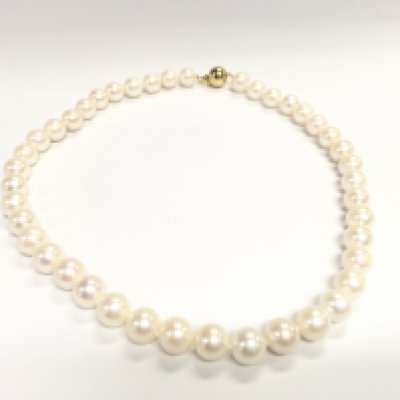 An 18inch string of white pearls with a 9ct yellow gold ball clasp. Postage B