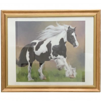 A framed oil painting study of a Piebald horse, 56.5cm x 46.5cm. NO RESERVE