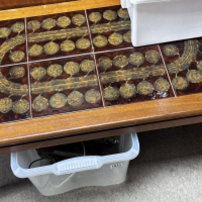 A 1960s tile topped coffee table. 91cm x 50cm x 41cm