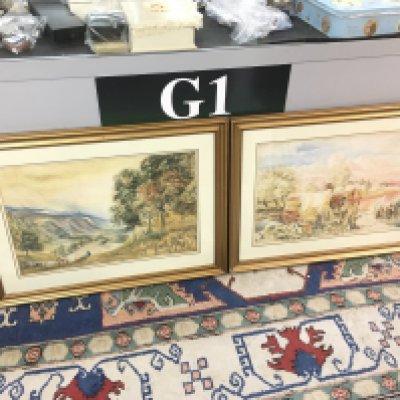 Framed late 19th century Watercolour paintings depicting nature scenes, frame size 70 x 52cm. Cannot be posted