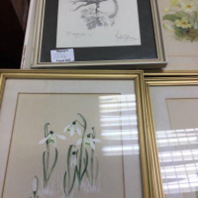 A collection of eight Marjorie Blamey wildlife pictures.