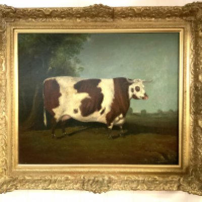 Prize Cow in Landscape. Oil on canvas, Gilt framed. 67cm x 77cm