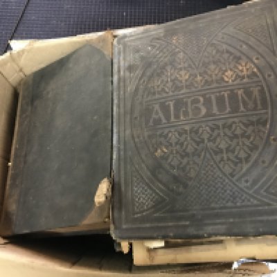 A Collection of various vintage books , Shakespeare plays of tragedy, empty leather bound photo album with bird illustrations etc. no reserve