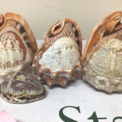 Three carved Cameo Conch shells views of Mount Vesuvius and the three graces and one other (4)