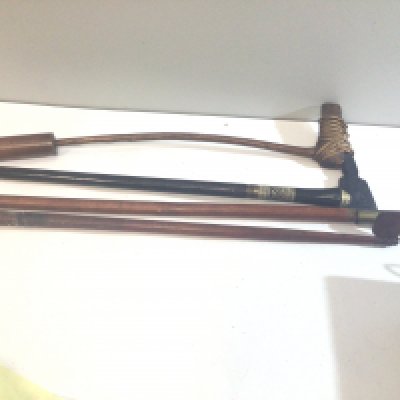 An Indian ebony sword stick two other sword sticks and an unusual bamboo and tribal axe. (4)
