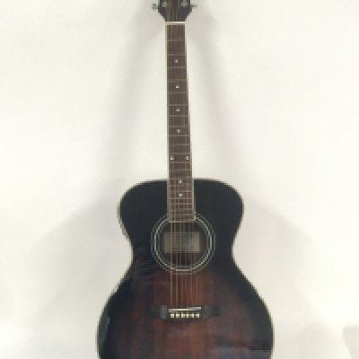 A brand new hand built Turner CLS-01E electro acoustic guitar with original retail box.