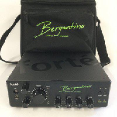 A Bergantino Forte bass amp head with original carry case and power leads.