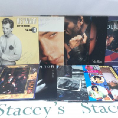 A small collection of LPs and 12" singles by various artists including two signed by Nick Heyward.