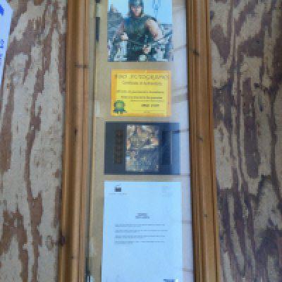 A Troy movie display containing a screen used prop arrow and signed Brad Pitt photo.