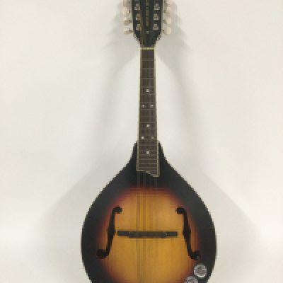 A Gretsch New Yorker G9320 mandolin fitted with an internal pickup. Comes supplied with a soft carry case.