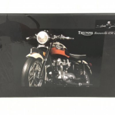A Boxed Minichamps Triumph Bonnerville 650 T120 Diecast Motorcycle.