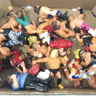 A collection of 22 Hasbro WWF figures