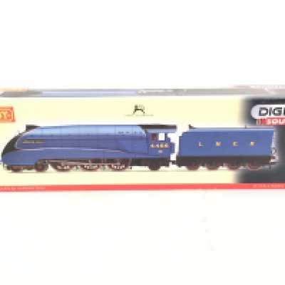 A Boxed Hornby 00 Gauge Class A4 Locomotive Herring Gull With Sound. DCC #R2805XS.