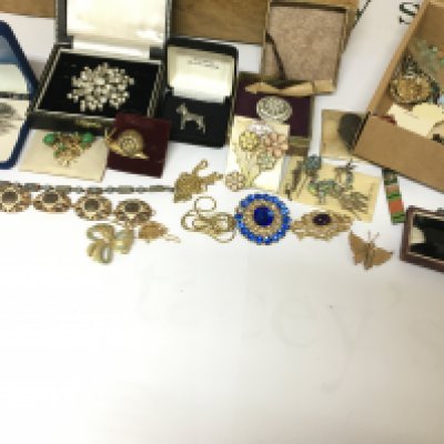 A collection of assorted costume jewellery including brooches bracelet etc.