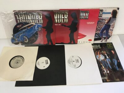 A collection of Thunder LPs, 12" singles, promos, picture discs and an acetate for She's So Fine.