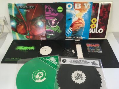 A collection of dance and electronica LPs and 12" singles by various artists including Prodigy, Moby, Goldie and many more.