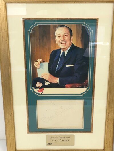 A framed and glazed signed Walt Disney display, no COA. Approx 39cm x 59cm.