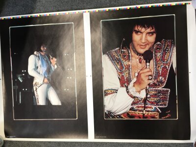 An Elvis Presley uncut and unreleased promotional poster from the BrianMurphy collection, approx 102cm x 66cm. Comes with COA from Rock Legends Ltd.