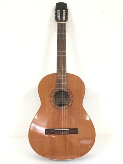 A 1979 Alhambra 3C classical guitar with a hard carry case.